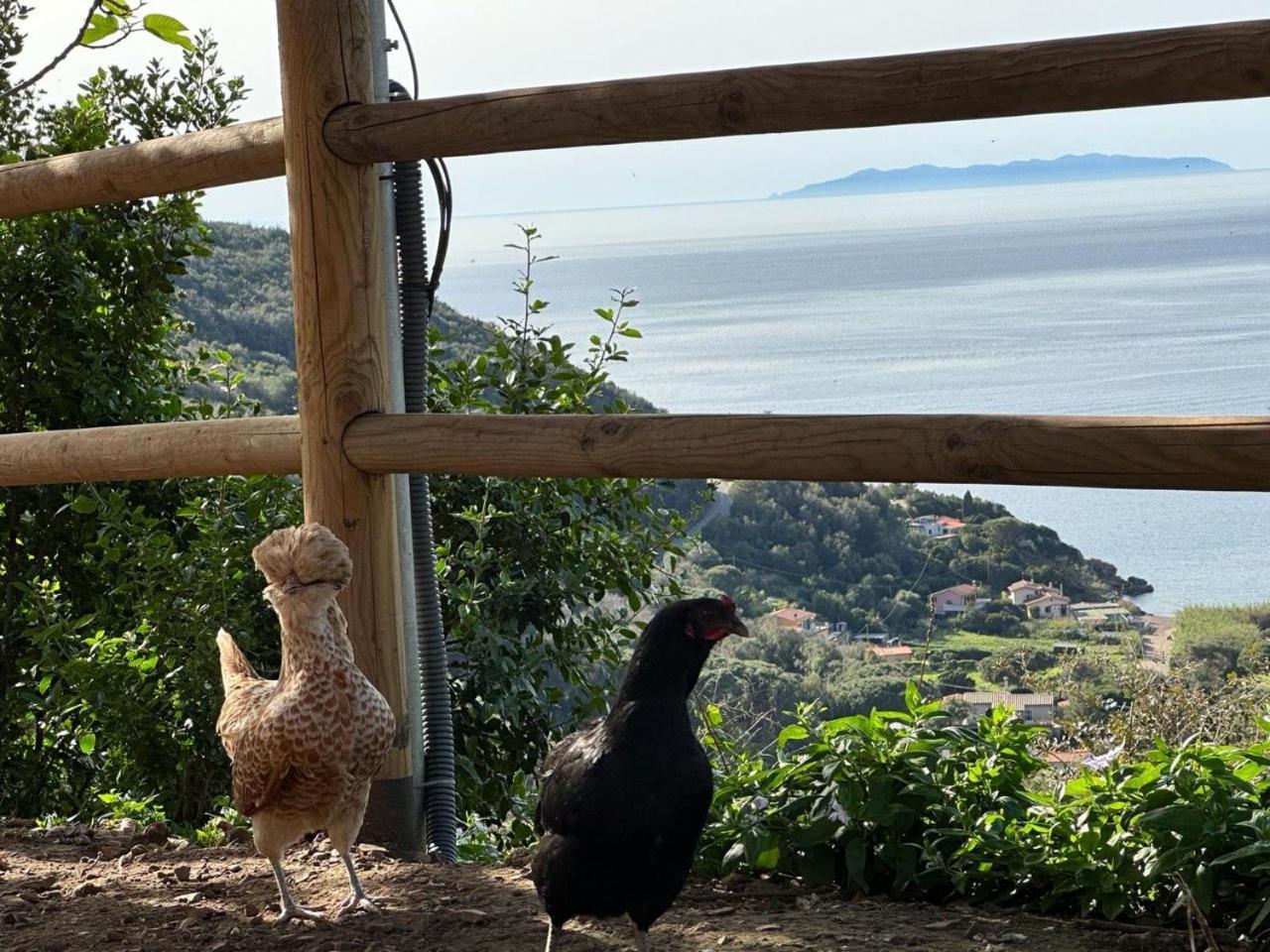 B&B Locanda del Borgo Agriturismo La Paradisa Rio dellʼElba Exterior foto