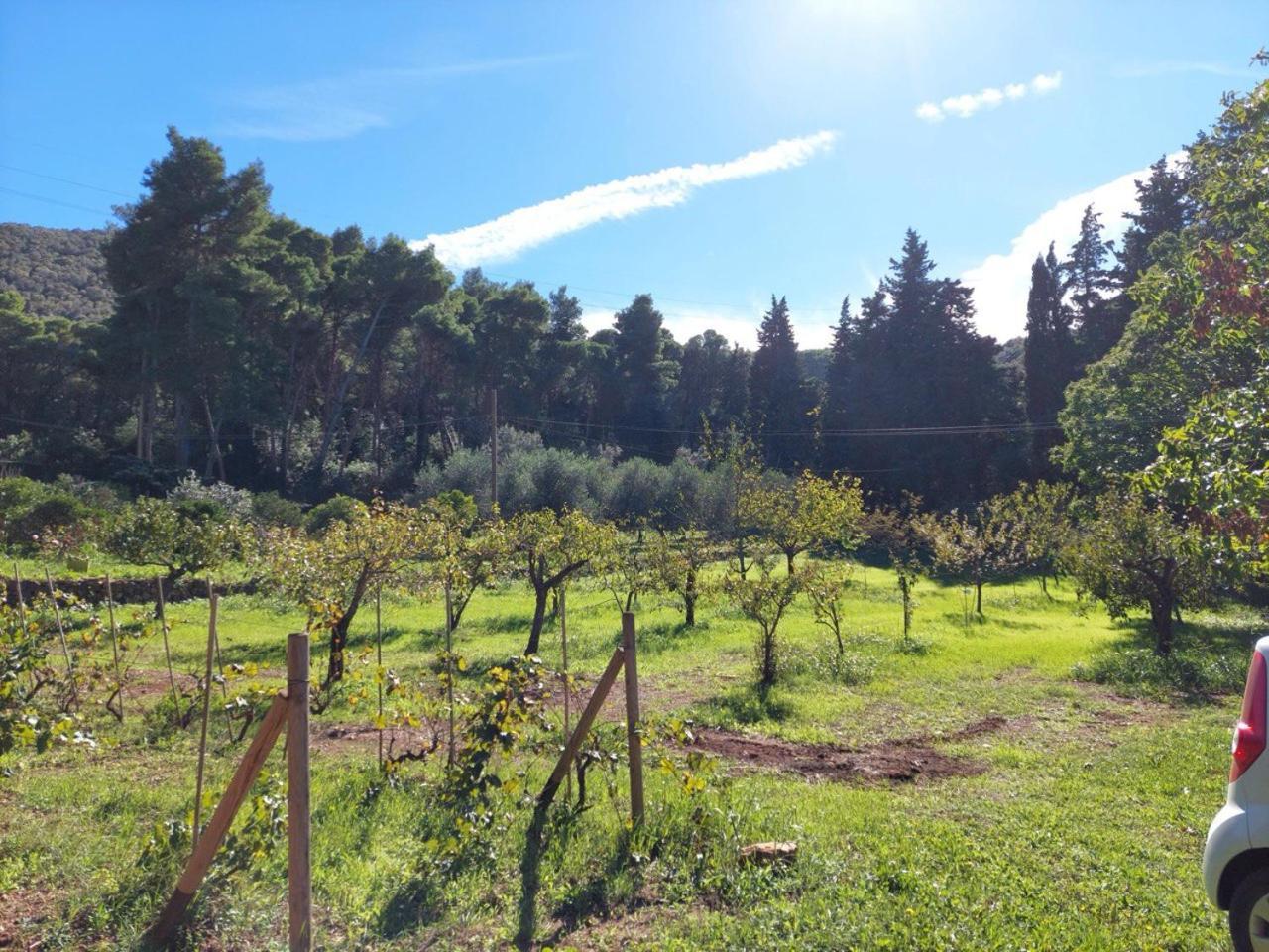 B&B Locanda del Borgo Agriturismo La Paradisa Rio dellʼElba Exterior foto